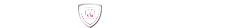 Sicherheitsicon